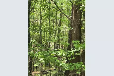 Tbd County Road 421, Tyler, TX 75704 - Photo 2
