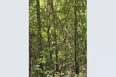 Tbd County Road 421, Tyler, TX 75704 - Photo 6