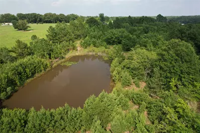 1847 N State Highway 19 Highway, Emory, TX 75440 - Photo 36