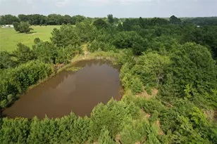 1847 N State Hwy 19 Hwy, Emory, TX 75440 - Photo 36