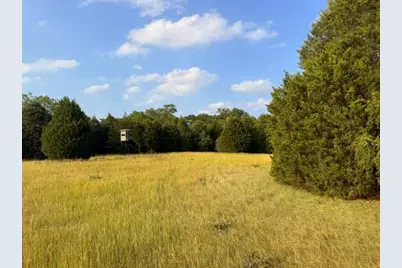 Tbd County Road 2500, Eustace, TX 75124 - Photo 18