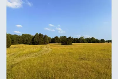 Tbd County Road 2500, Eustace, TX 75124 - Photo 4