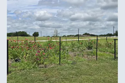 2462 McConnell Road, Gunter, TX 75058 - Photo 30