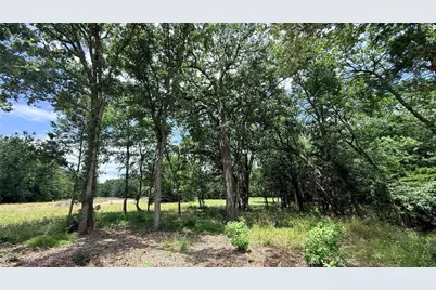 Tbd Private Road 5440 #Lot 26, Point, TX 75472 - Photo 6