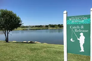 11633 Wild Pear Ln, Fort Worth, TX 76244 - Photo 28