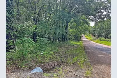 7485 County Road 3907, Athens, TX 75752 - Photo 4