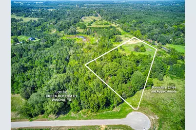 Lot 32 Creek Bottom Court, Winona, TX 75792 - Photo 4