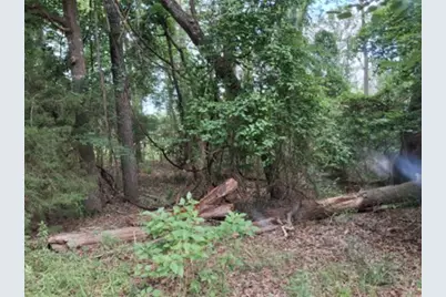 Tbd Dogwood Drive, Murchison, TX 75778 - Photo 6
