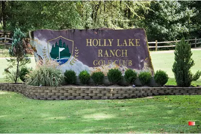 108 Old Barn Circle, Holly Lake Ranch, TX 75765 - Photo 2