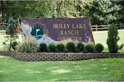 108 Old Barn Circle, Holly Lake Ranch, TX 75765 - Photo 2