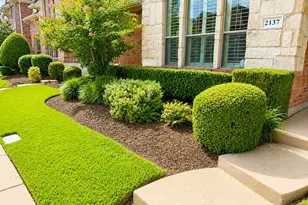 2137 Prager Port Ln, Plano, TX 75025 - Photo 2