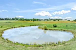 362 Vz County Road 3404, Wills Point, TX 75169 - Photo 8