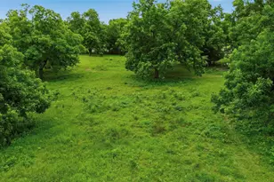 1603 Texas Hwy 154, Cooper, TX 75432 - Photo 34