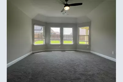 152 Aucuba Lane, Waxahachie, TX 75165 - Photo 14