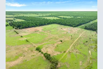 40.72 Acres Vz County Road 4503, Ben Wheeler, TX 75754 - Photo 8