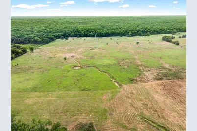 40.72 Acres Vz County Road 4503, Ben Wheeler, TX 75754 - Photo 16