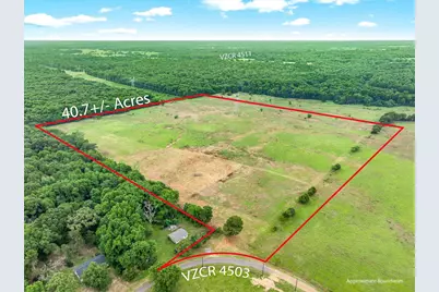 40.72 Acres Vz County Road 4503, Ben Wheeler, TX 75754 - Photo 2