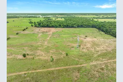 40.72 Acres Vz County Road 4503, Ben Wheeler, TX 75754 - Photo 10