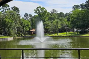197 Holly Hill Cir, Holly Lake Ranch, TX 75765 - Photo 24
