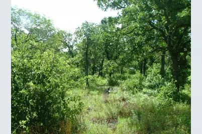 Lot 386 Moonlight Bay Drive, Chico, TX 76431 - Photo 12