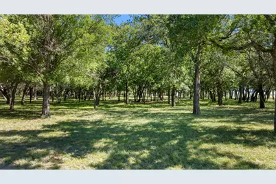 15403 Mule Branch Court, Lipan, TX 76462 - Photo 38