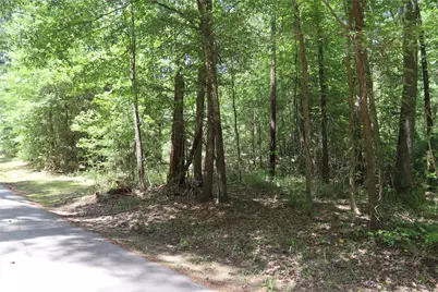 Tbd Private Road 8565, Winnsboro, TX 75494 - Photo 10