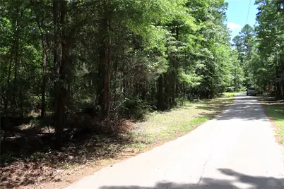 Tbd Private Road 8565, Winnsboro, TX 75494 - Photo 4