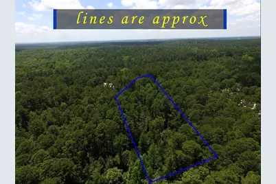 Tbd Private Road 8565, Winnsboro, TX 75494 - Photo 14