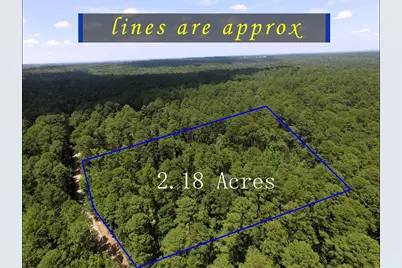 Tbd Private Road 8565, Winnsboro, TX 75494 - Photo 1