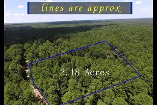 Tbd Private Road 8565, Winnsboro, TX 75494 - Photo 1