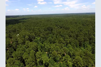 Tbd Private Road 8565, Winnsboro, TX 75494 - Photo 16