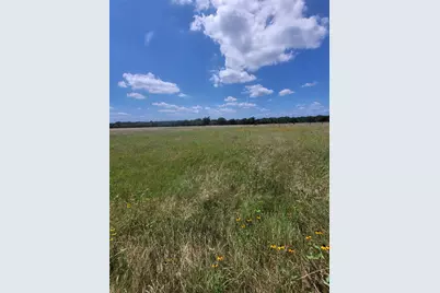2441 County Road 3512, Dike, TX 75437 - Photo 4