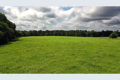 Tbd County Road 4090, Kerens, TX 75144 - Photo 2
