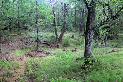 Tbd County Road 4090, Kerens, TX 75144 - Photo 10