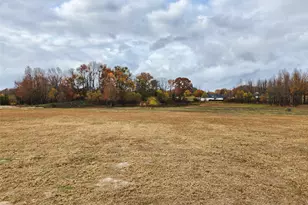Lot 23 Cr 2230, Mineola, TX 75773 - Photo 1