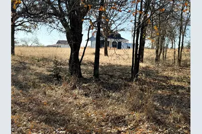 Tbd Private Road #1403, Morgan, TX 76671 - Photo 8