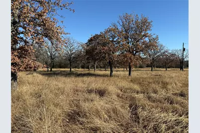 Tbd Private Road #1403, Morgan, TX 76671 - Photo 6