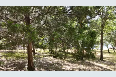 Lot 81 Appomattox, Streetman, TX 75859 - Photo 34