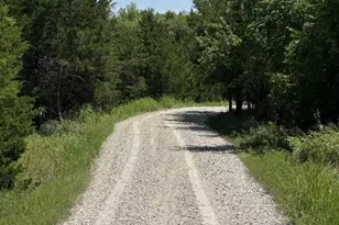 5464 Co Rd 1120, Farmersville, TX 75442 - Photo 4