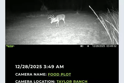 224 Hcr 3350 N, Hubbard, TX 76648 - Photo 34
