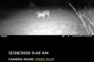 224 Hcr 3350 N, Hubbard, TX 76648 - Photo 34
