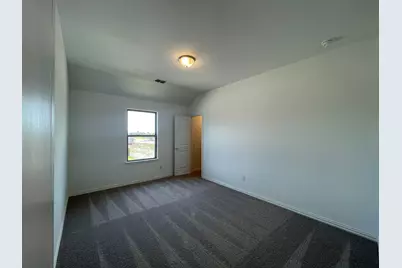 2402 Lemon Mint Lane, Melissa, TX 75454 - Photo 22