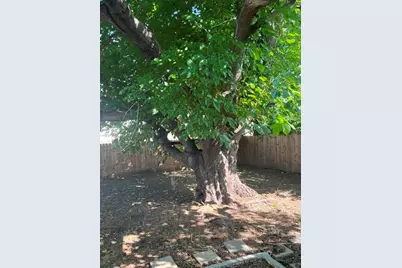 916 Hawthorne Drive, Allen, TX 75002 - Photo 4