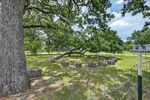 250 E Golden Oaks Dr, Mabank, TX 75156 - Photo 26