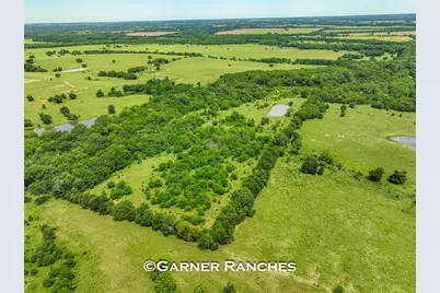 7008 Cr-1019, Wolfe City, TX 75496 - Photo 10