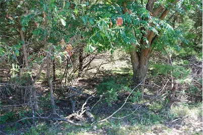 3045 Ash Court, Whitney, TX 76692 - Photo 2