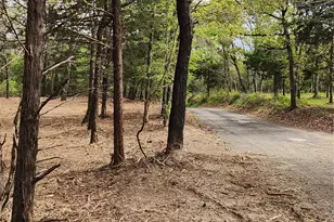 Lot 465 Cr-4710, LaRue, TX 75770 - Photo 6