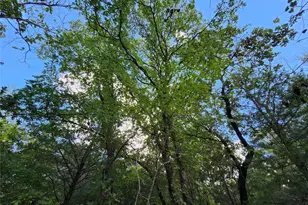 Lot 465 Cr-4710, LaRue, TX 75770 - Photo 18