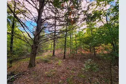 Lot 465 Cr-4710, LaRue, TX 75770 - Photo 24