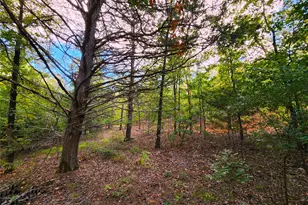 Lot 465 Cr-4710, LaRue, TX 75770 - Photo 24